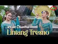 Download Lagu INTAN CHACHA - LINTANG TRESNO ( Official Video Music )