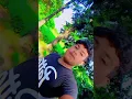 Download Lagu O Mere Dil ke Chain#🔥#trending #video #youtube #shorts #virai