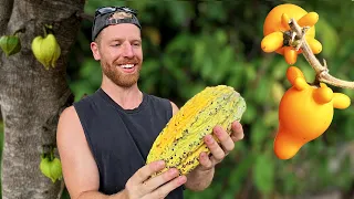 I Found Some Crazy Fruits Around Lake Toba
