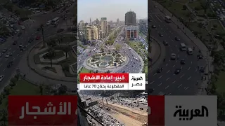بعد انتقادات عمليات إزالة الأشجار.. خبير: إعادة الأشجار المقطوعة يحتاج 70 عامًا
