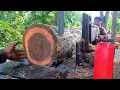 Download Lagu BUKTIKAN‼️Menggergaji Kayu Jati Tua- Gergaji Mesin Bandsaw Rakitan