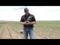 360 Yield Minute - Determining Growth Stages In Corn