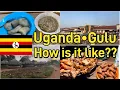 Lagu Most Peaceful city in Uganda!!! Uganda•Gulu Tour 2024🇺🇬 #Uganda #travelafrica #acholi #gulu