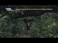 Download Lagu Solo Trip: Coffee at Hidden Beach | Cozy Vibes | Sounds of Nature | ASMR