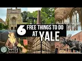 FREE at YALE 6 Must See Places in New Haven Connecticut