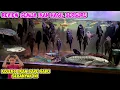 Download Lagu lihat ikan kolaksi ikan hasil berburu di rumah ternyata ada ratusan ikan sapu sapu