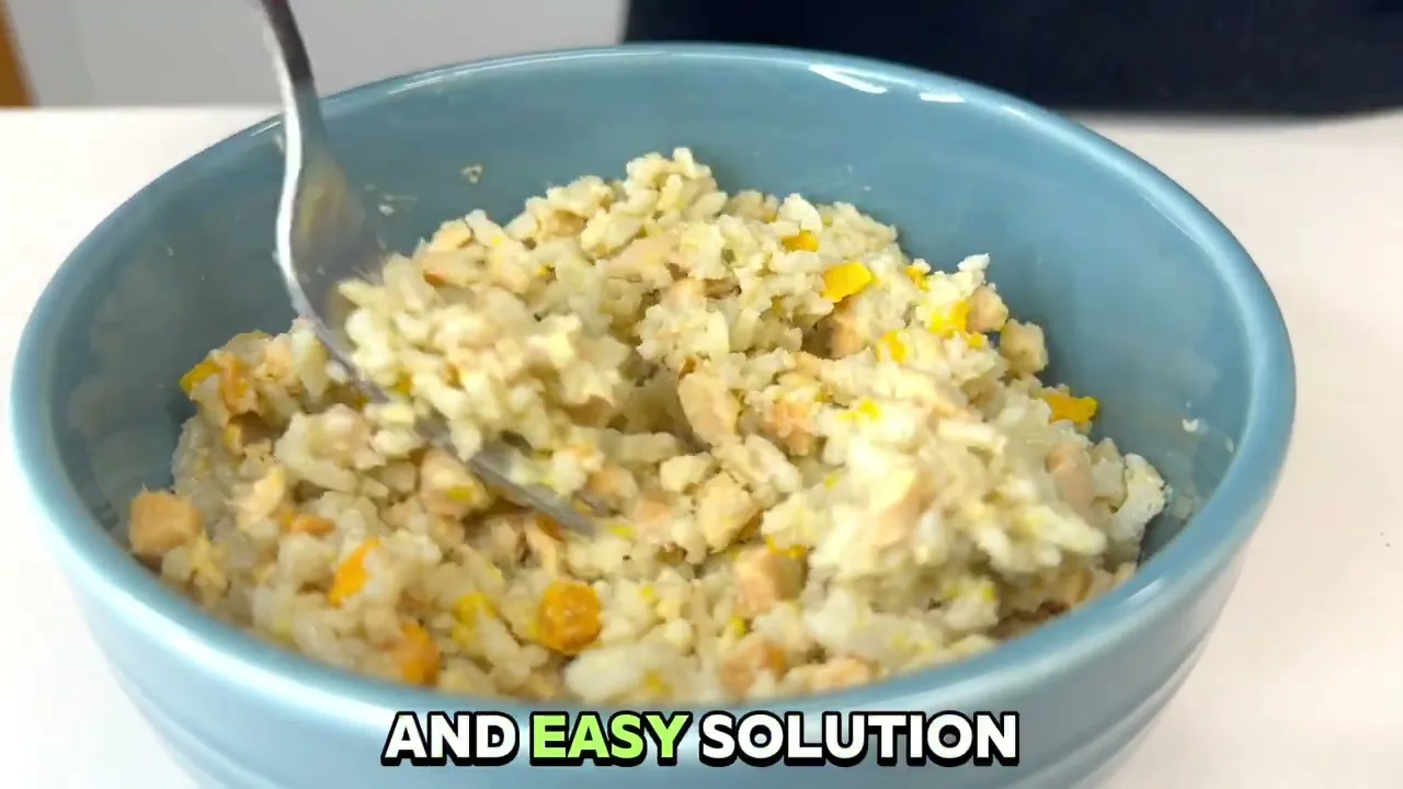 Limited Ingredient Dry Bland Diet Beef & Brown Rice Recipe with Pumpkin for Dogs