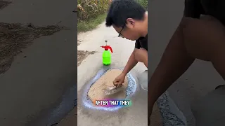 لعبة التخمين 