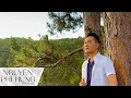 Download Lagu VẪN CÒN CÓ ANH | Nguyễn Phi Hùng | St Long Họ Huỳnh |