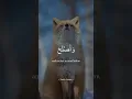 Download Lagu Surah Ash-Shuraa [42: 39-40] #quran #quranrecitation