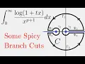 Complex Analysis Logarithms and Branch Cuts