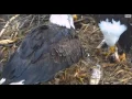 DECORAH EAGLES 2016 12 42 PM CDT DAD BRINGS A LIVE FISH