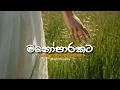 Download Lagu මනෝපාරකට සින්දු (slowed+reverb) | manoparakata sinhala song | Mind Relaxing Sinhala Songs Collection