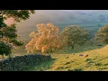 a slow morning in the countryside 🧺 soft piano for reading, studying & calm focus