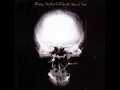 Ministry - Thieves (Clean Version)