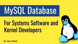 317 MySQL Database for Systems Software Developers and Kernel Developers