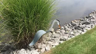 Florida Dancing Birds Great Blue Heron Garden Art