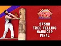 Download Lagu 275mm Tree Felling Handicap Final