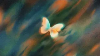                كي او   عادي                  دندنها