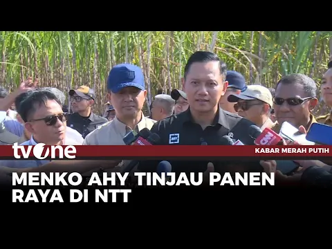 Tinjau Panen Raya Tebu di NTT, AHY Dibalik Tantangan Geografis Ada Potensi Luar Biasa