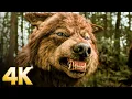 Jacob Confronts Edward but Bella Chooses Her Side New Moon CLIP 4K