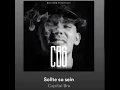 Capital bra / Sollte so sein