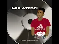 Mulatedzi
