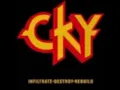 CKY - flesh into gear