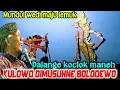 Download Lagu DALANGE OLA CETHO!!! Durmogati ketakutan kurowo di musuhne bolodewo karo dalange