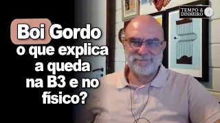 Boi gordo : o que explica a queda na B3 e no mercado físico?