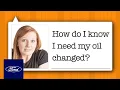 Ford Service Advice Do I Need an Oil Change Service Advice Ford