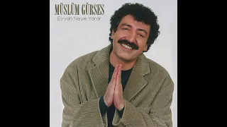 m sl m g rses eyvah neye yarar ai cover 