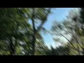 sped up nightcore - Habits (Genevieve Stokes) [Sped Up Version]