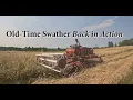 Old-Time Swather Cutting Winter Rye