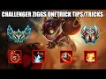 CHALLENGER ZIGGS ONETRICK
