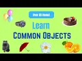 Learn Common Objects-Common Object Identification for Toddlers and Children - Toddler Learning