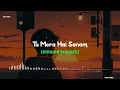 Download Lagu Tu Mera Hai Sanam (female version)