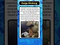 Download Lagu 🔴Ein Abschied voller Liebe: Vater \u0026 Katze gehen gemeinsam