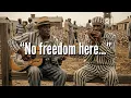 Lagu Ain’t No Freedom Here | Delta Blues | Blues Masterpiece