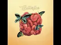 Download Lagu Dane Amar  -  Butterflies