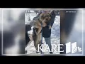 Minnesota rescue saves 2 abandoned puppies from living under a frozen porch