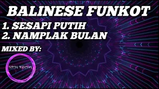 dj sesapi putih widi widiana diptaradityaa ft wita dharma