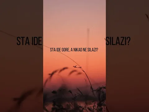 STA IDE GORE ?! #humor #test