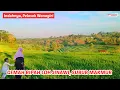 Download Lagu Suasana pagi hari di pelosok Wonogiri | Kota Gaplek ‼️