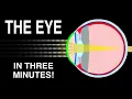 EYE ANATOMY IN 3 MINUTES