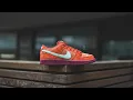 Nike SB Dunk Low Pro Premium Mystic Red A Dictionary of Colour Combinations Review On-Feet