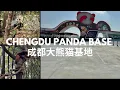 Download Lagu Chengdu Panda Base day trip 🇨🇳 World’s largest panda base in China, Chengdu China Travel