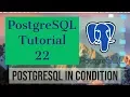 PostgreSQL Tutorial for Beginners 22 - PostgreSQL IN Condition