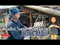 Download Lagu Tradisi I SUNAT (SUNDATAN) URANG BADUY I Kabupaten Lebak, Banten