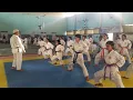 Karate Basic Training by Shito-ryu Karate School